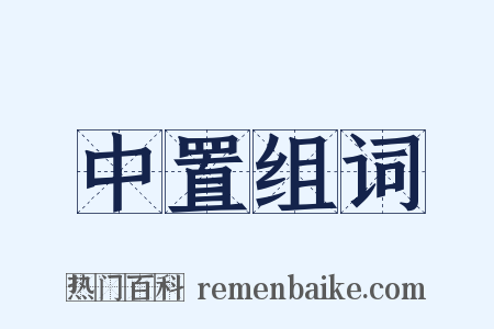 中置组词是什么意思的图片